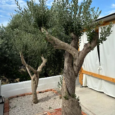 Apartment Irena 2